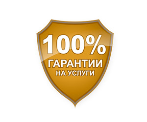 100% гарантия на все наши услуги<br>